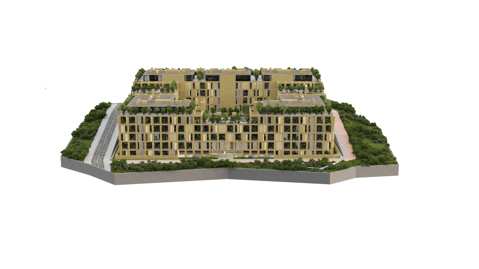 Project image