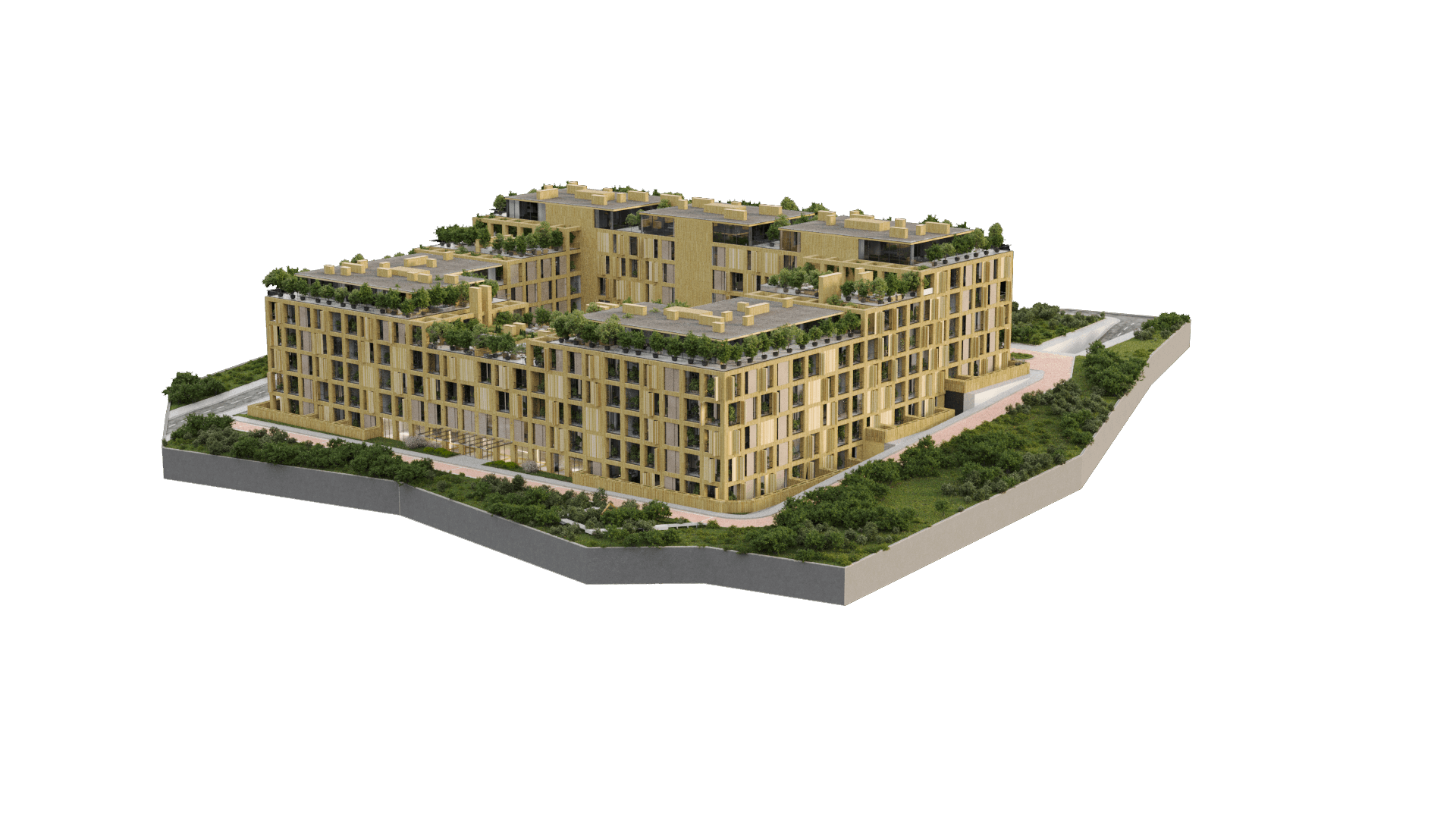 Project image