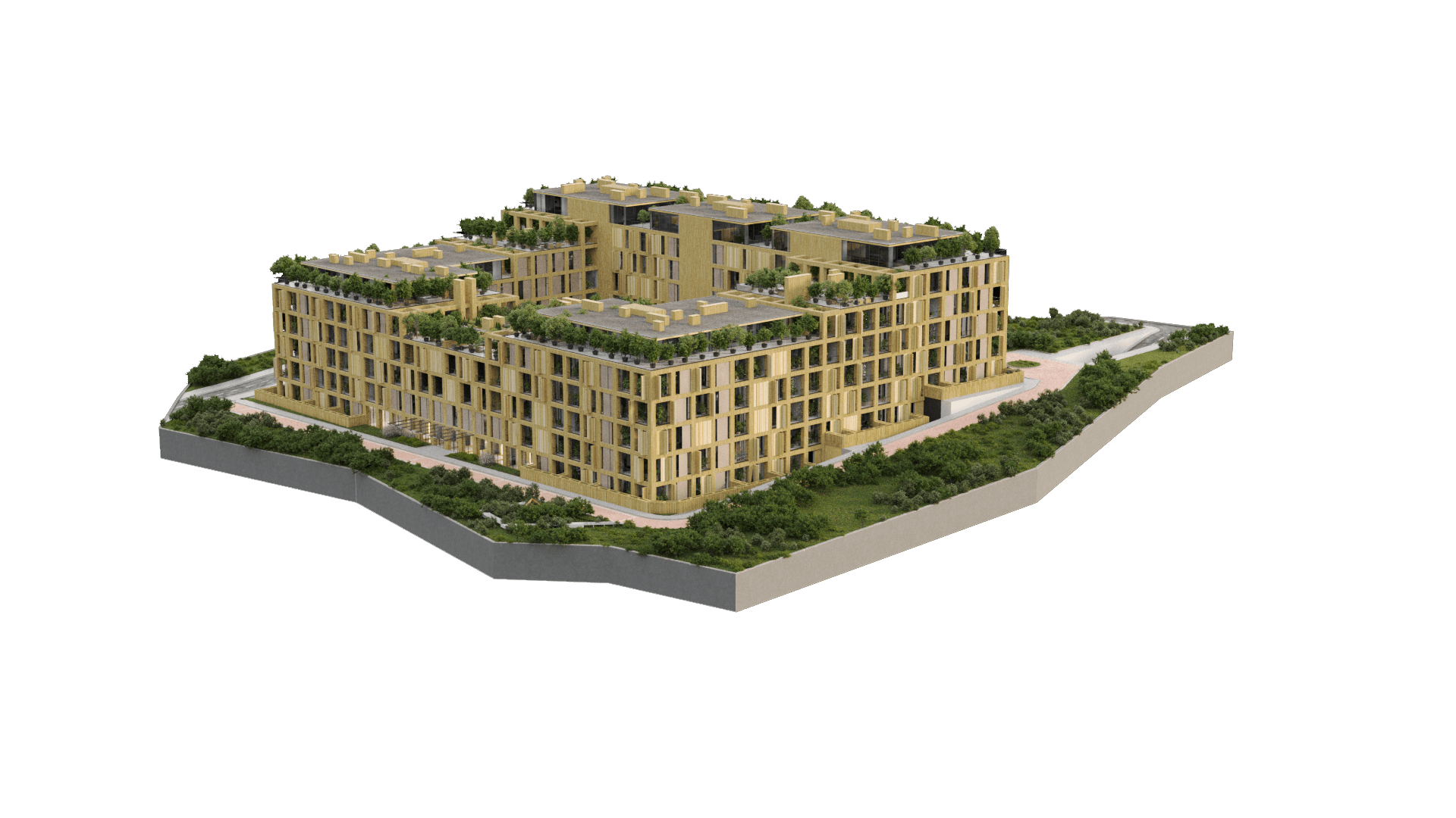Project image