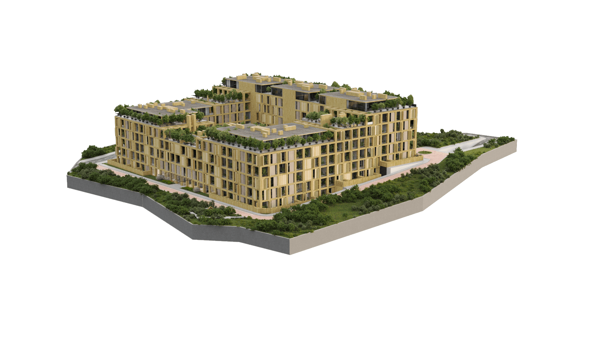 Project image