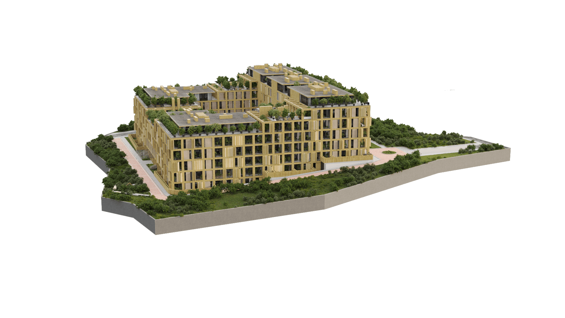 Project image