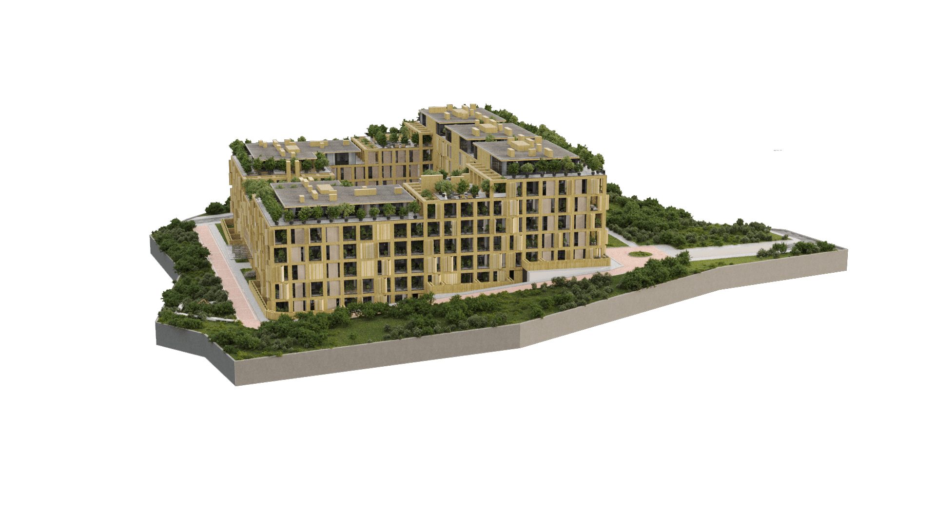Project image