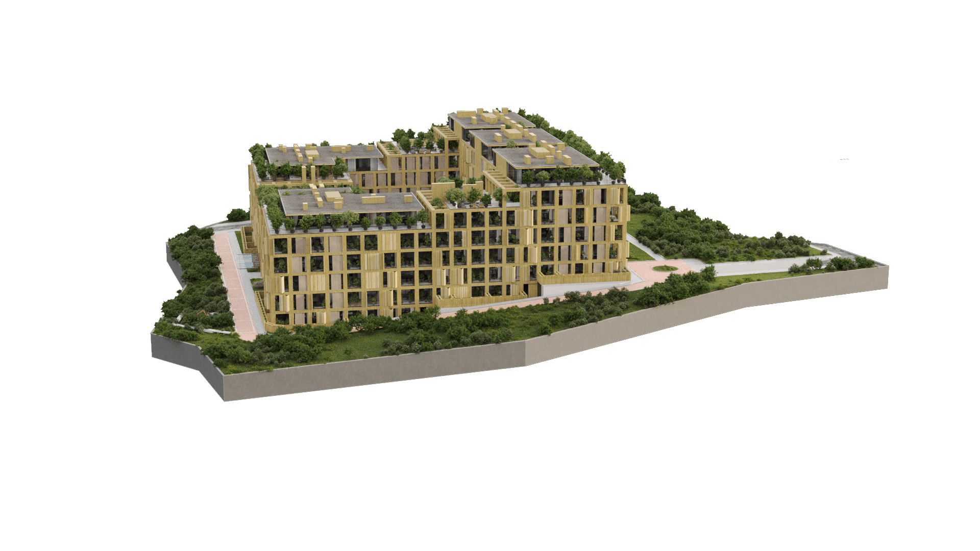 Project image