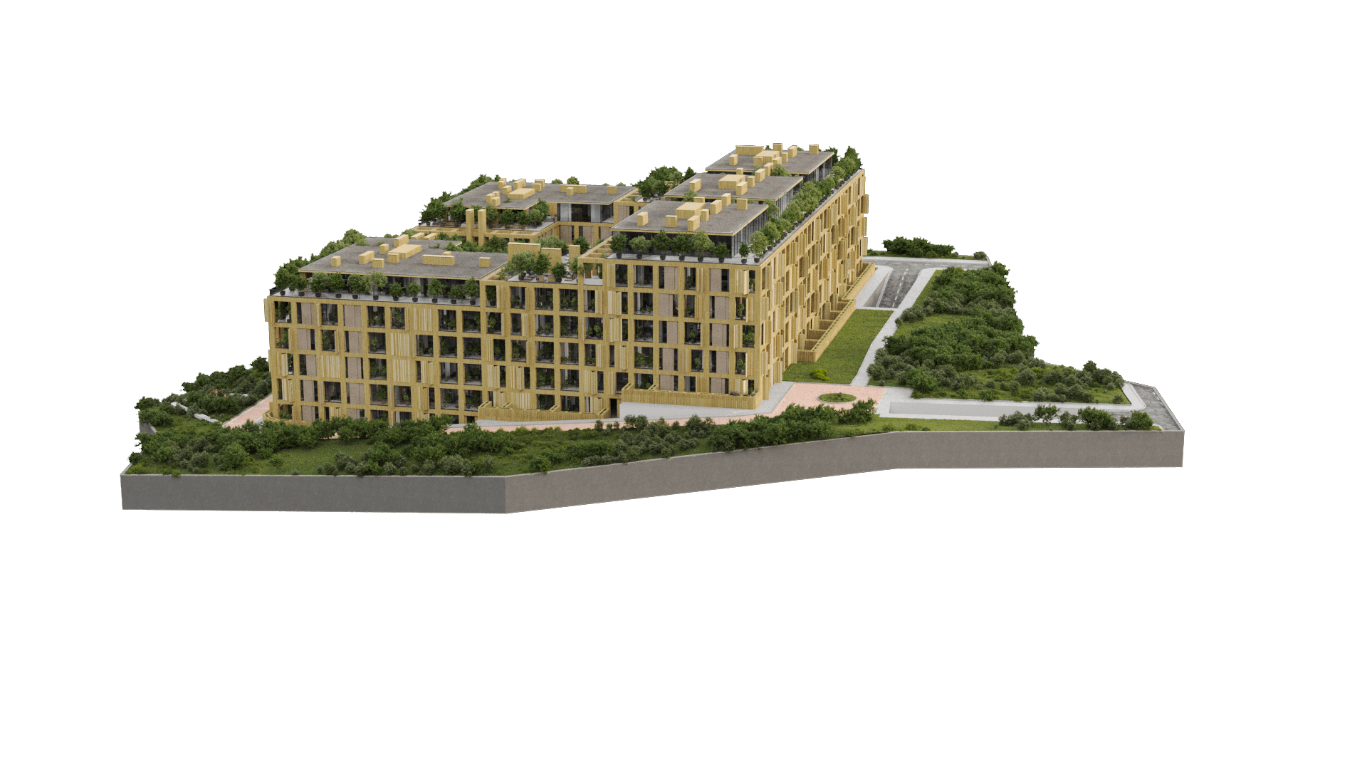 Project image