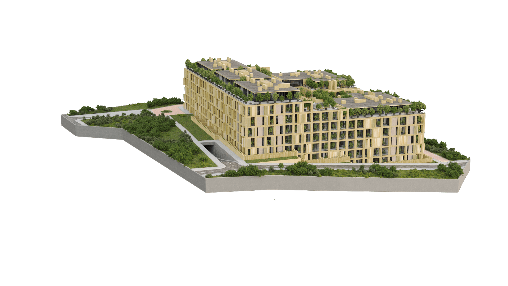 Project image