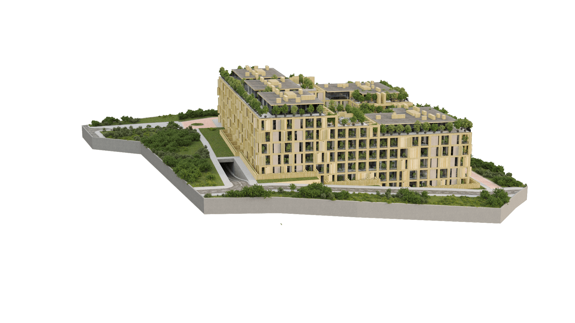 Project image