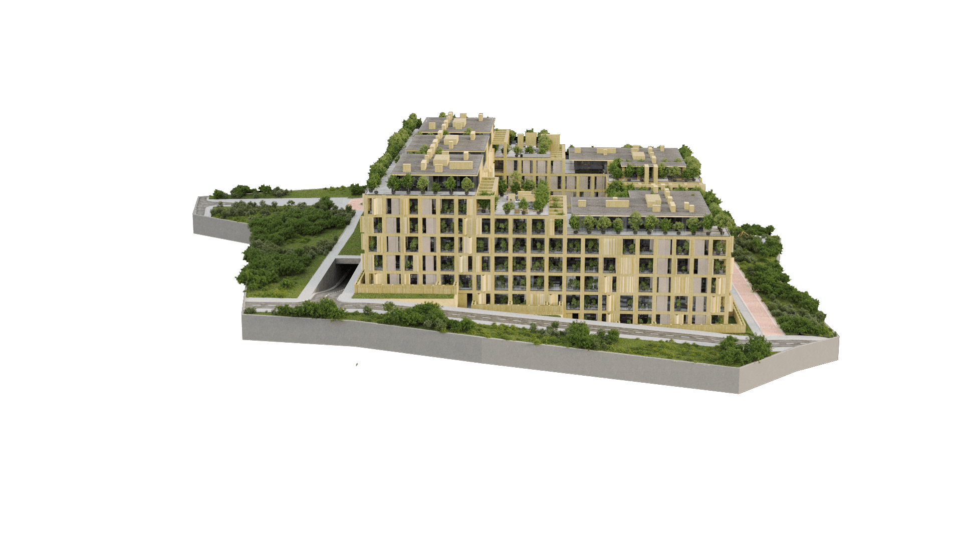 Project image